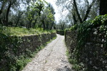 Torri del Benaco sur le Lac de Garde