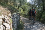 Torri del Benaco sur le Lac de Garde