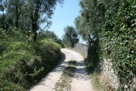 Torri del Benaco sur le Lac de Garde