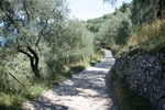 Torri del Benaco sur le Lac de Garde