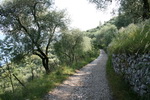 Torri del Benaco sur le Lac de Garde