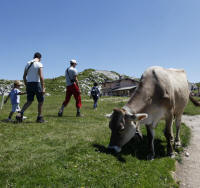 le territoire du Mont Baldo - Lac de Garde est comparable à la zone méditerranéenne.